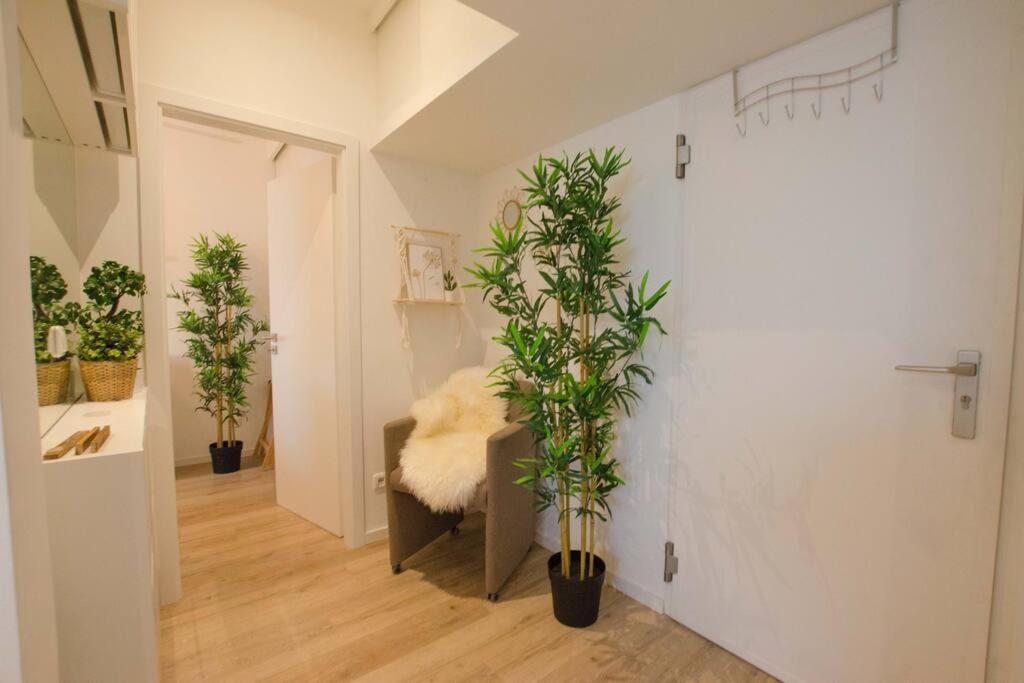 Casarina - Gemuetliches Apartment Im Zentrum Augsburg Exteriör bild